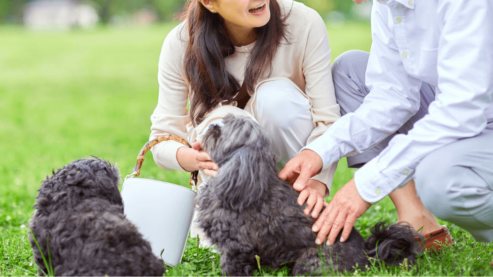 婚活サービスで、運命の出会い！「彼だ！」と確信した瞬間